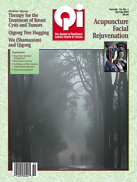 Vol. 15, No. 1: Spring 2005 Qi Journal (online Digital edition)