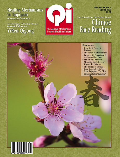Vol. 17, No. 1: Spring 2007 Qi Journal (online Digital edition)