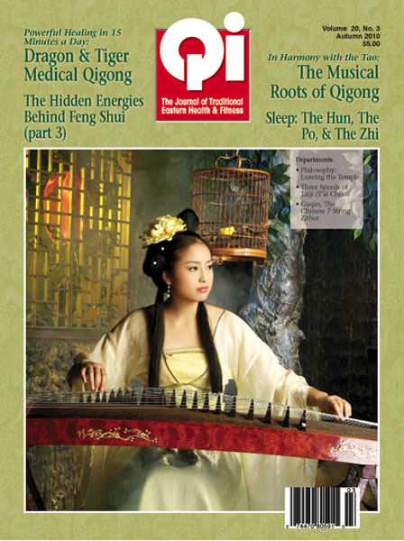 Vol. 20, No. 3: Autumn 2010 Qi Journal (online Digital edition)