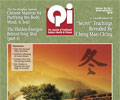 Vol. 20, No. 4: Winter 2010-2011 Qi Journal (online Digital edition)