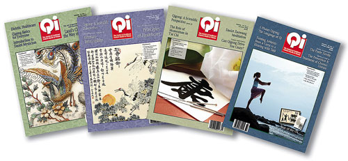 2008 Qi Journal bundle