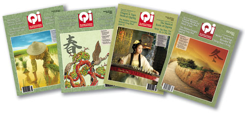 2010 Qi Journal bundle