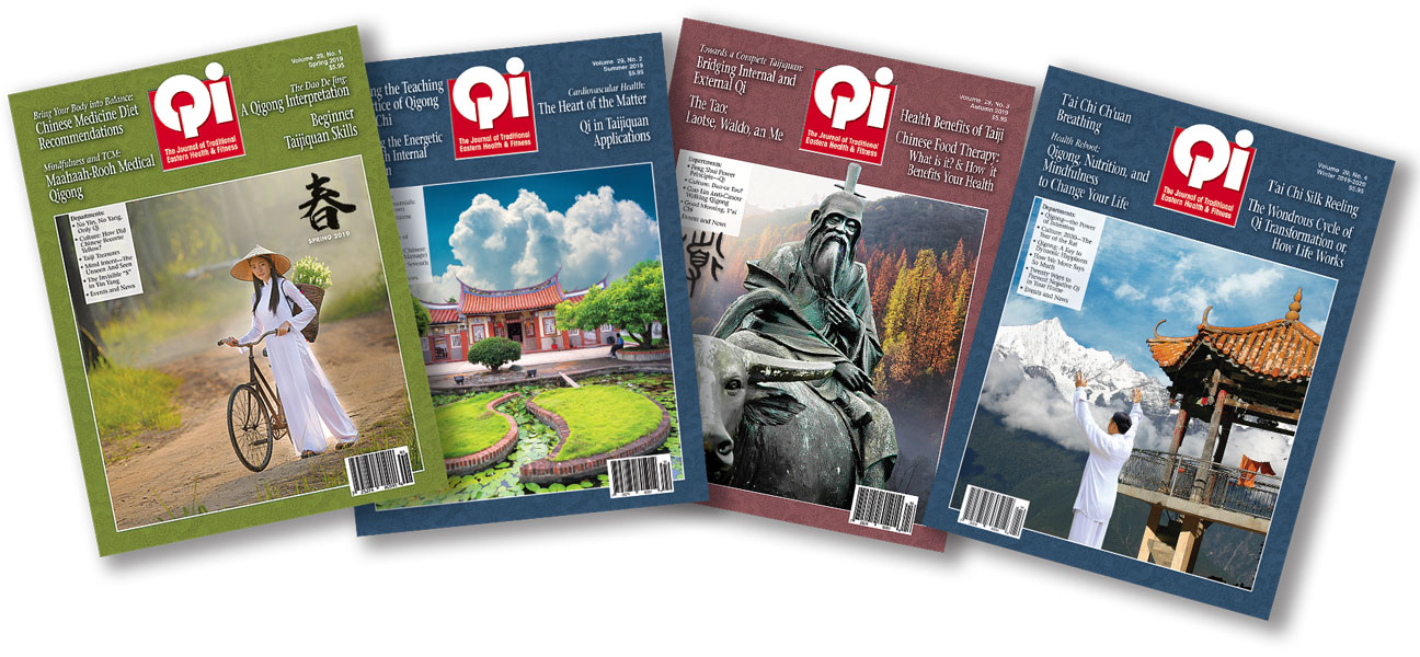 2019 Qi Journal bundle