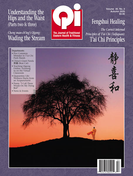Vol. 30, No. 3: Autumn 2020 Qi Journal (online Digital edition)